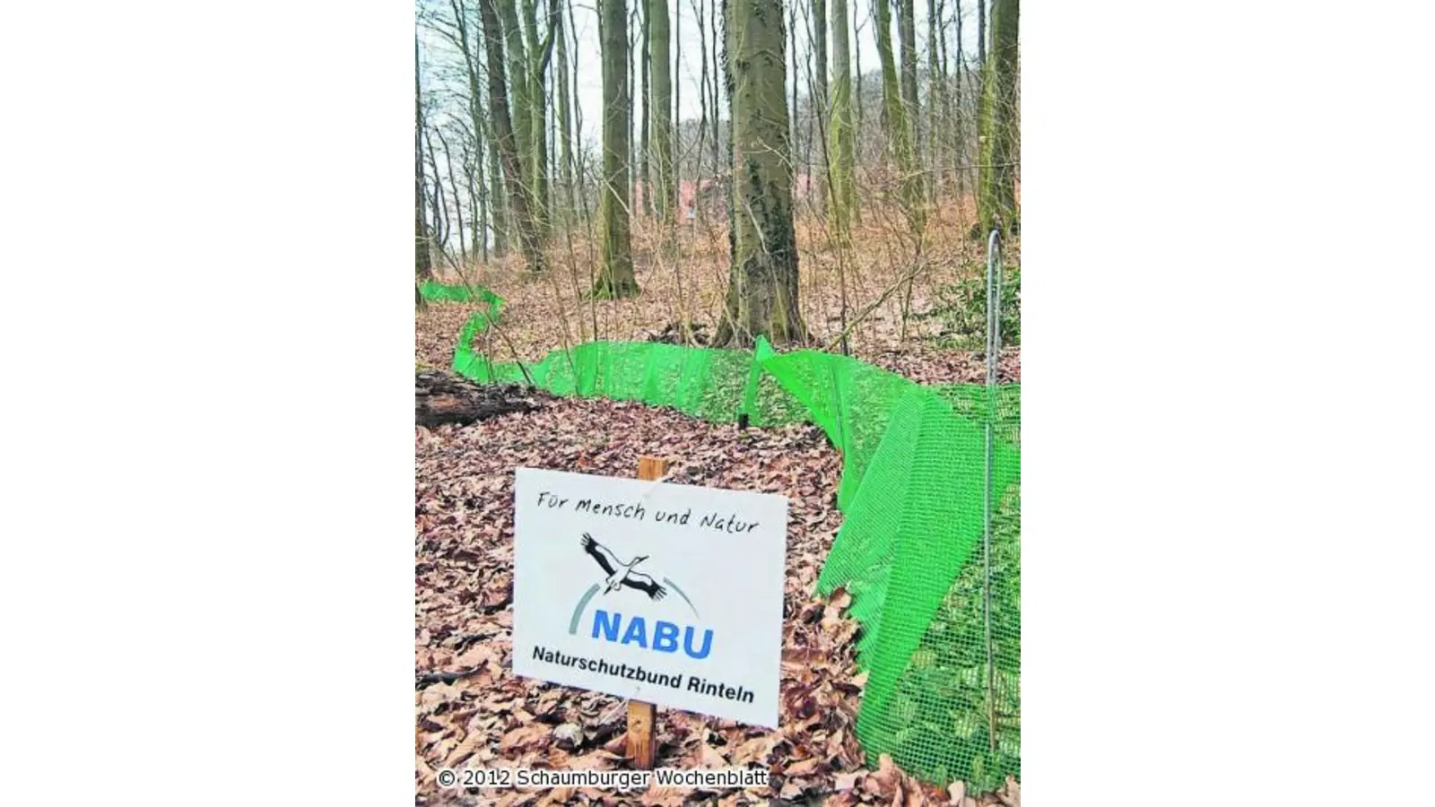 Der Countdown zur Krötenwanderung läuft (Foto: ste)