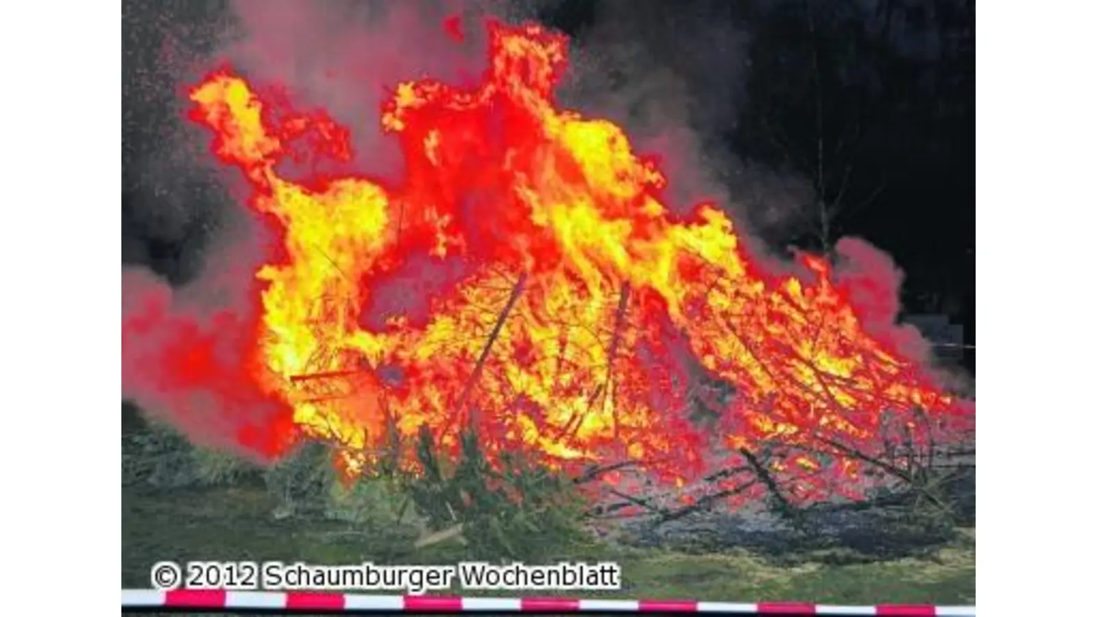 Tannen dürfen bald brennen (Foto: wtz)