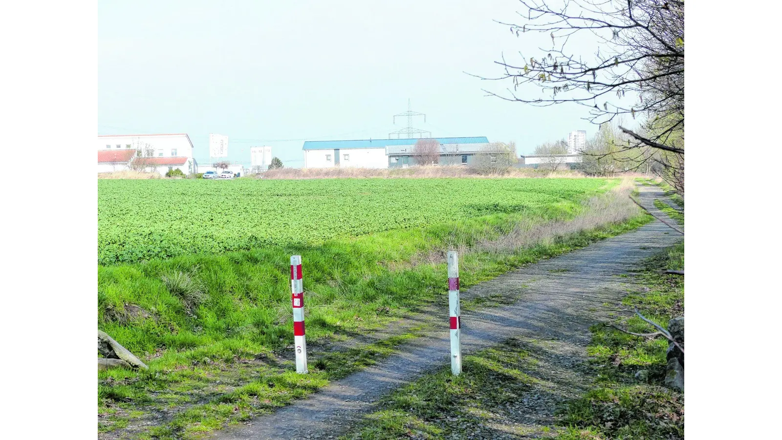 Neues Interesse am Logistikpark (Foto: al)