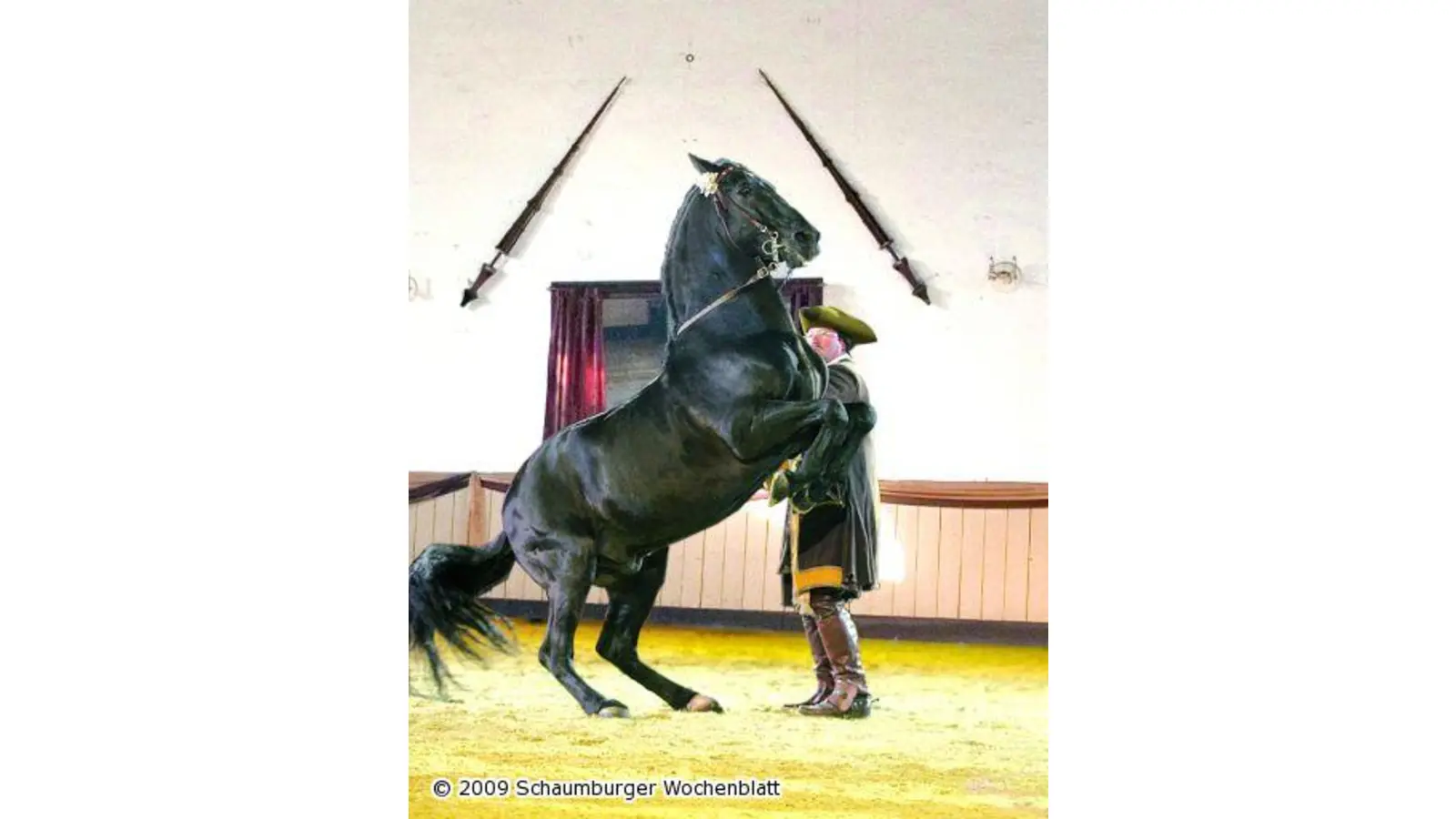 Hofreitschule lockt mit Oster-Familientagen (Foto: red)
