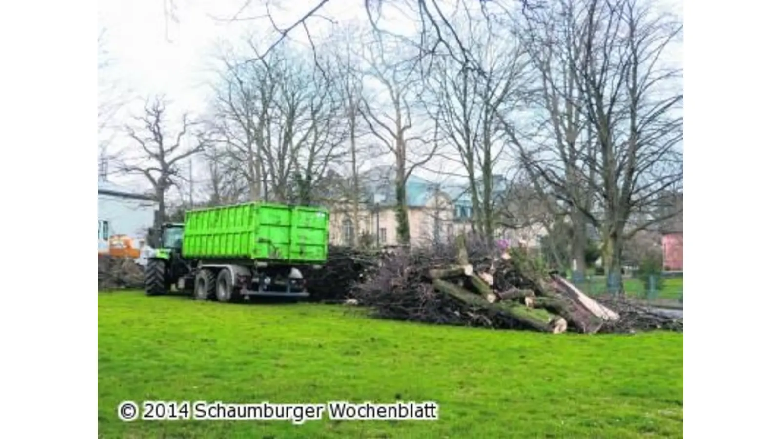 Bäume weichen der Sanierung (Foto: pd)