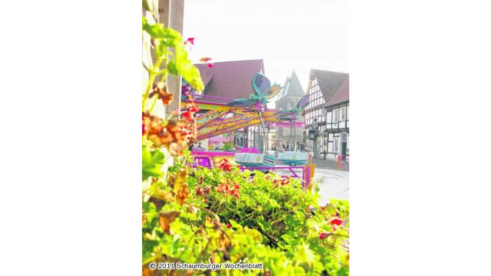 Platz ist in der kleinsten Hütte (Foto: wa)
