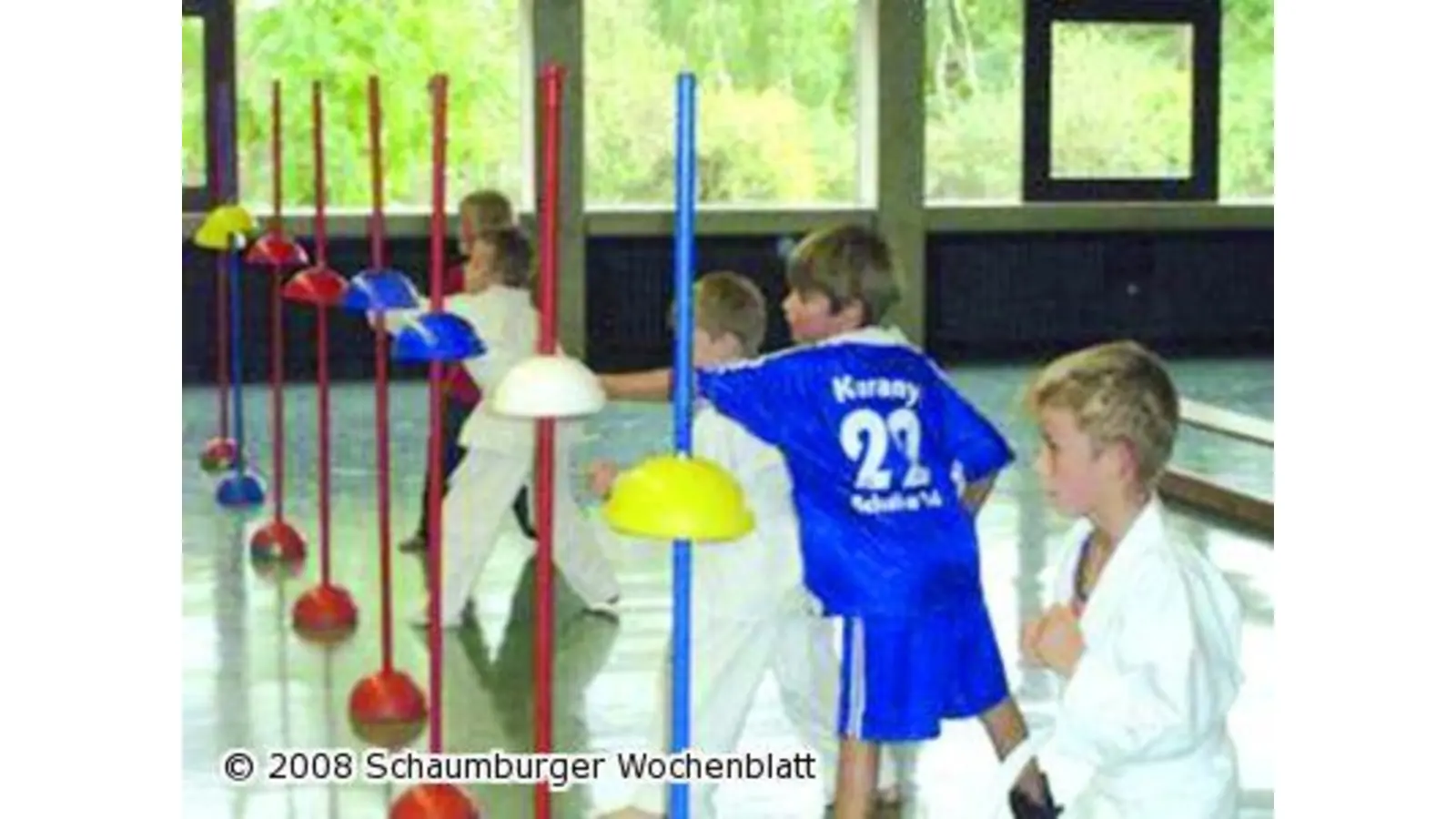 Karate-Minis bestehen ihre Prüfung (Foto: ste)