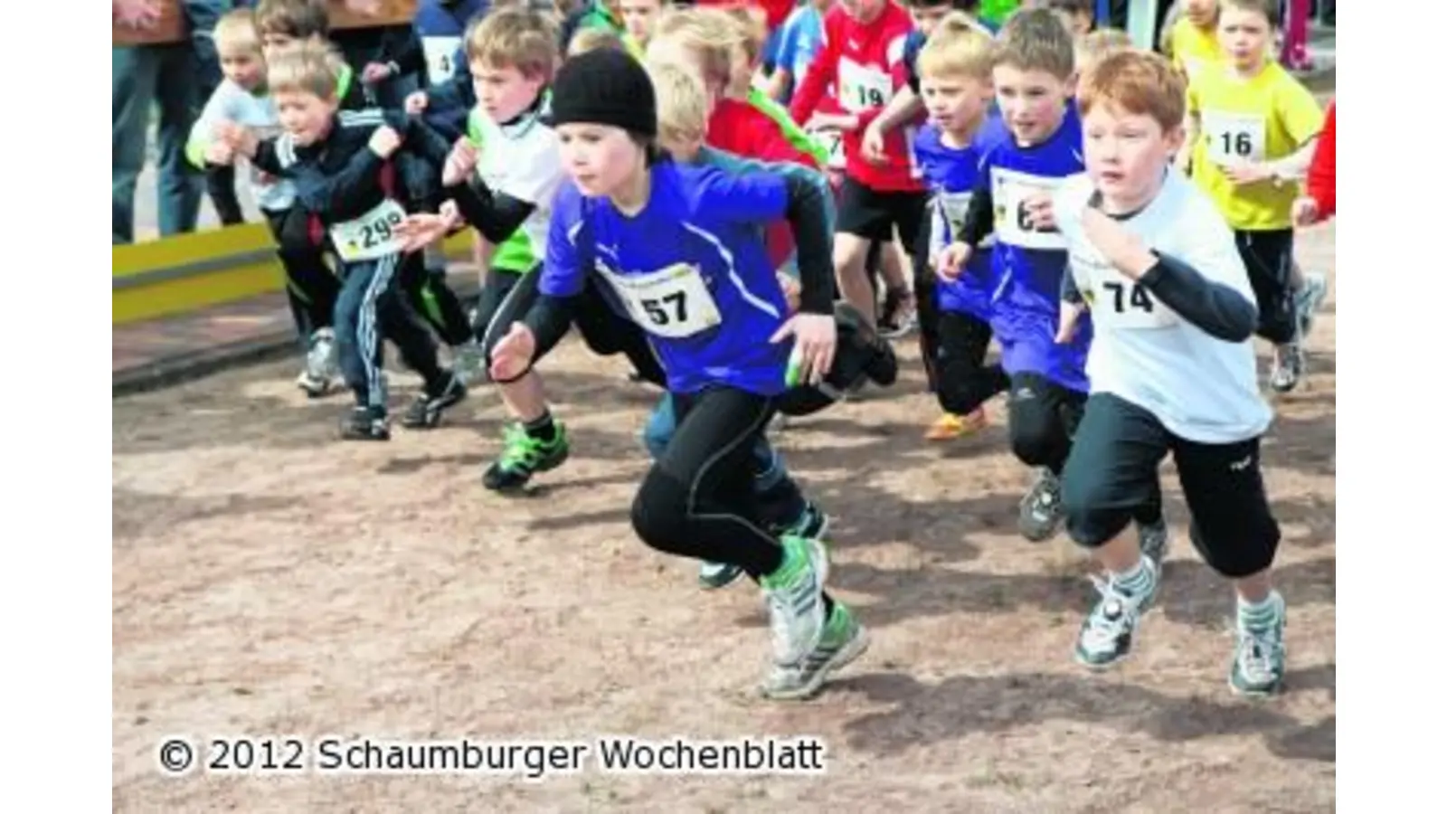 Über 400 Läufer beim Friedrich-Wischhöfer-Lauf (Foto: bb)