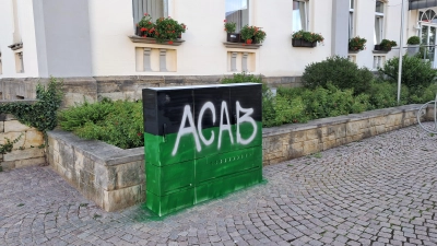 Beschmierter Stromkasten. (Foto: privat)