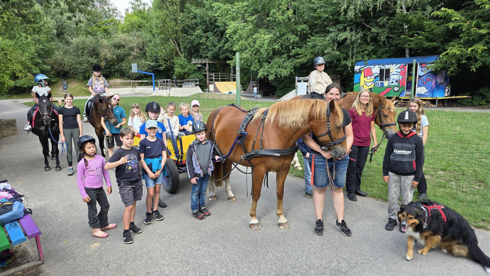Besonders beliebt: Der Bauernhof „Ackerglück” fährt mit einer Kutsche zum Biobauern. (Foto: tau)