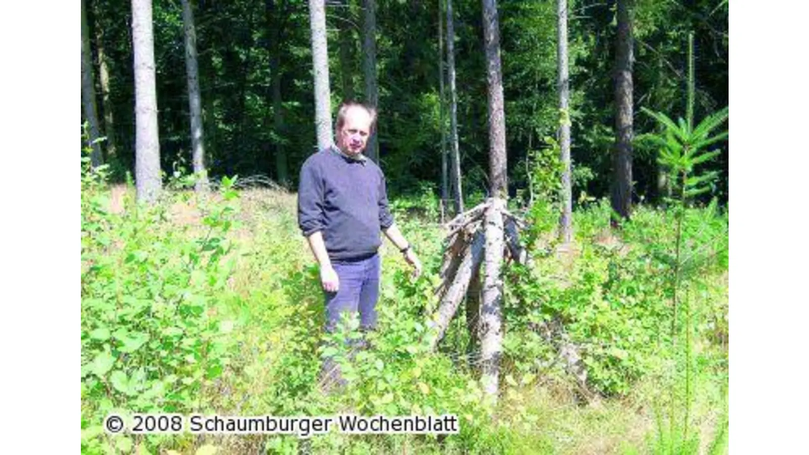 Klimaerwärmung und Schädlinge bedrohen die heimischen Wälder (Foto: ug)