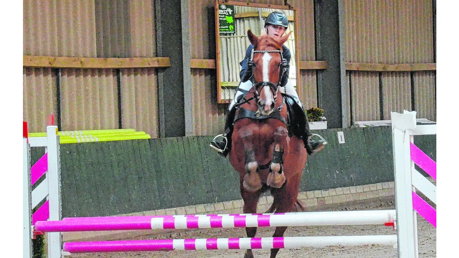 Das Lindhorster Hallenreitturnier verzeichnet 373 Starts an drei Tagen (Foto: red)