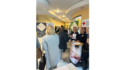 An 13 Ständen stellten sich Beratungs- und Hilfsangebote aus Schaumburg vor. (Foto: privat)