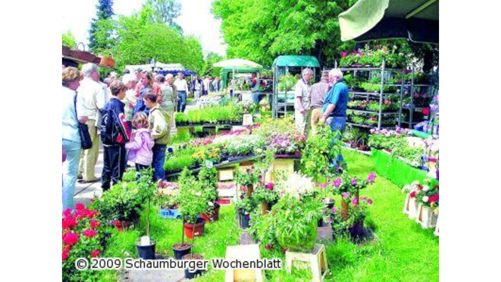 Sechs Stunden Markttreiben (Foto: red)