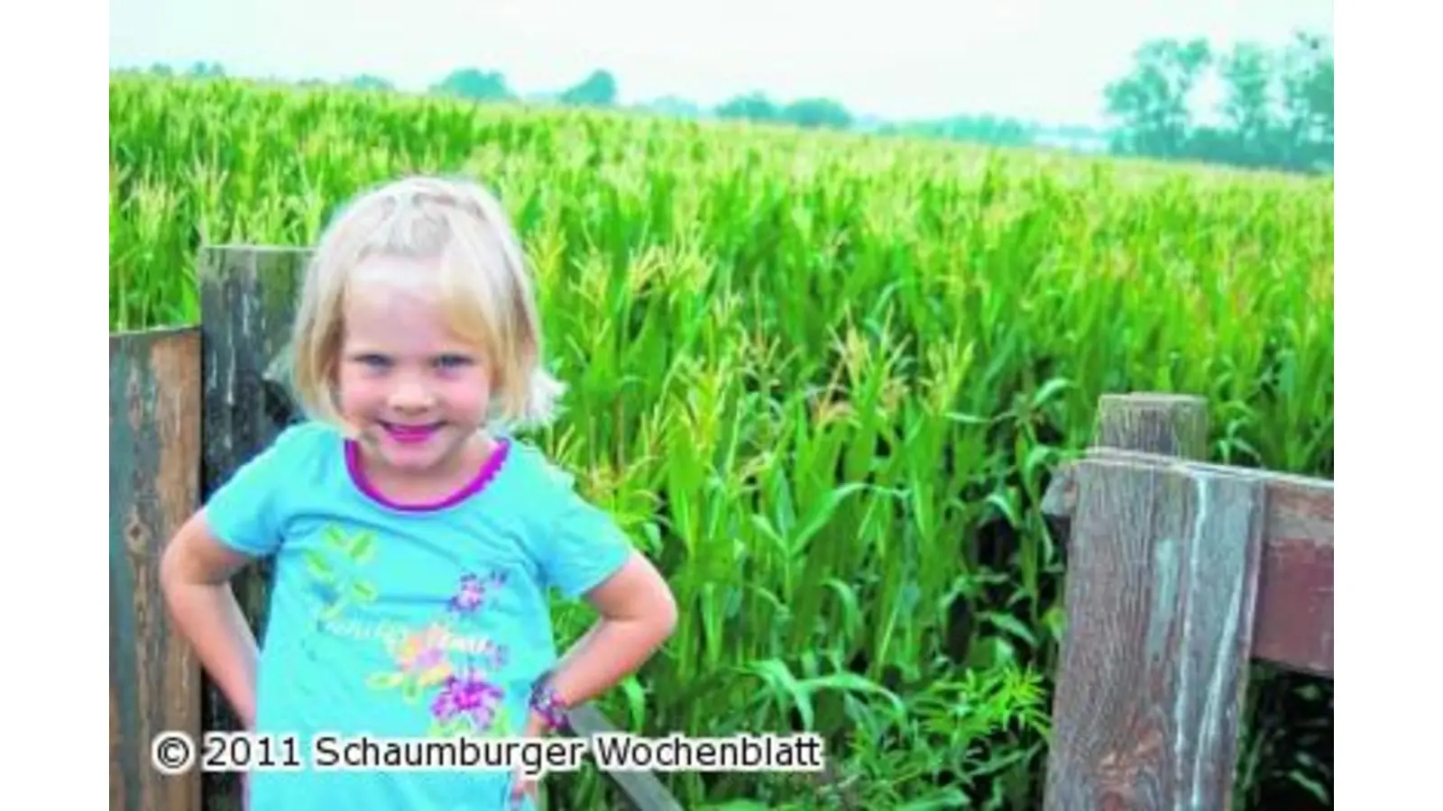 Ein guter Orientierungssinn führt am schnellsten zum Ziel (Foto: wa)