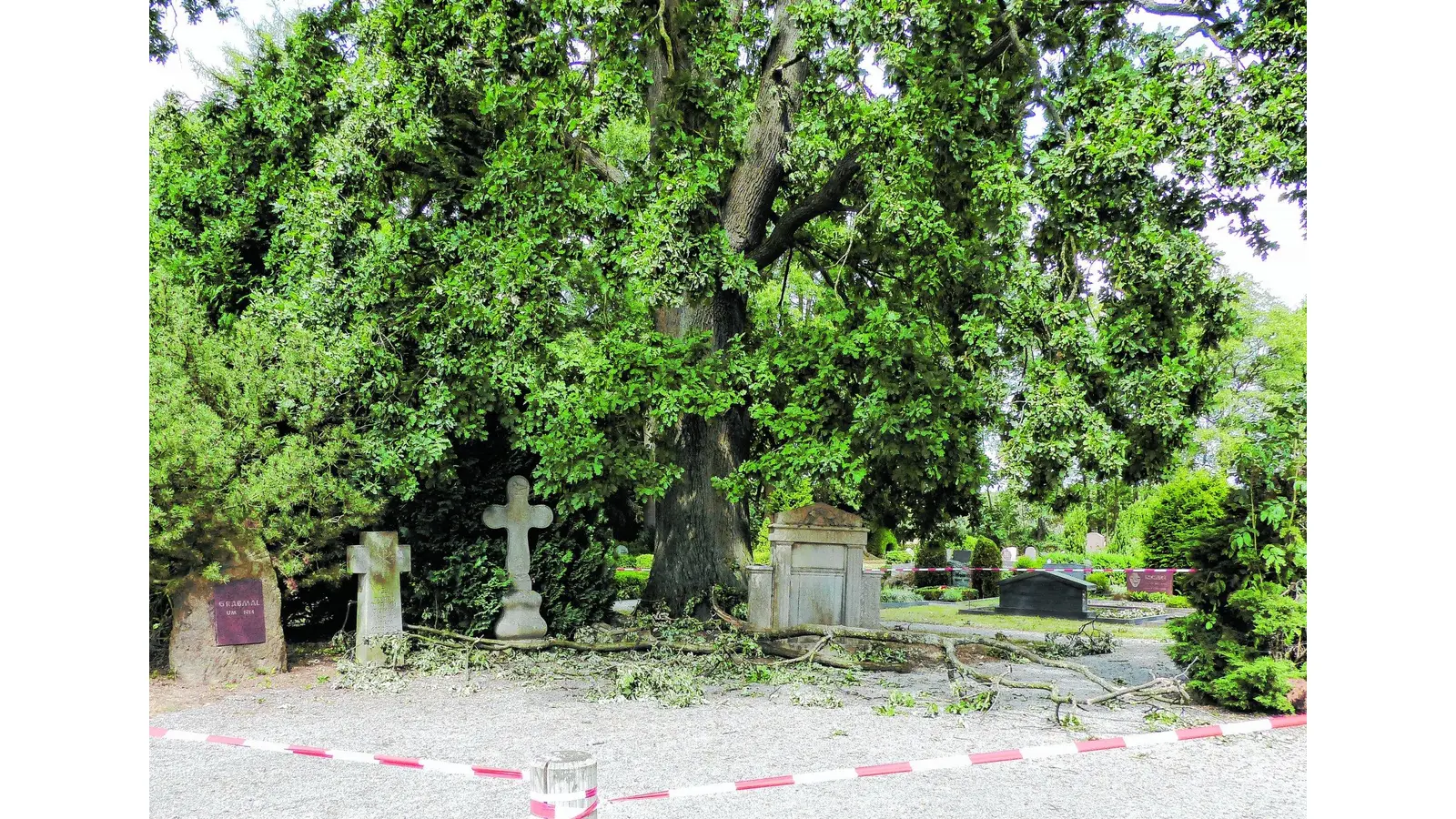 Große Äste fallen auf Friedhofsweg (Foto: al)