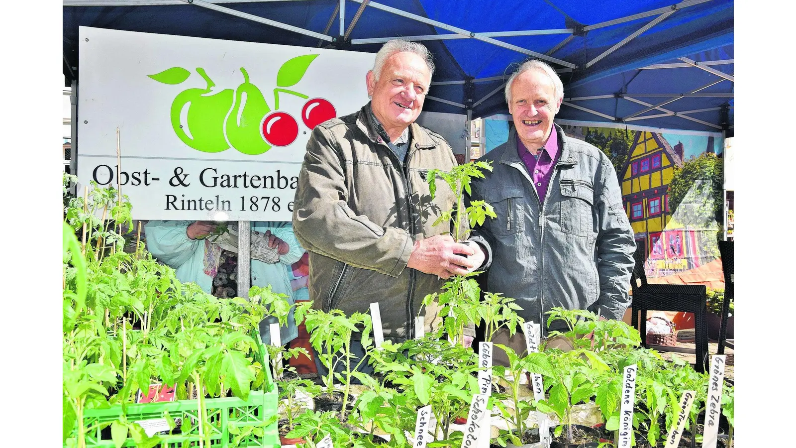 Frühe Reife alter Sorten mit viel Geschmack (Foto: ste)