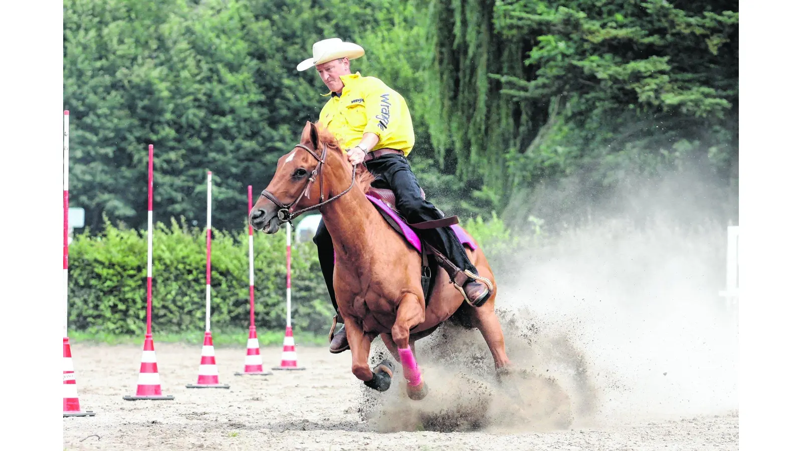 Ein packender Pferdesport (Foto: bb)