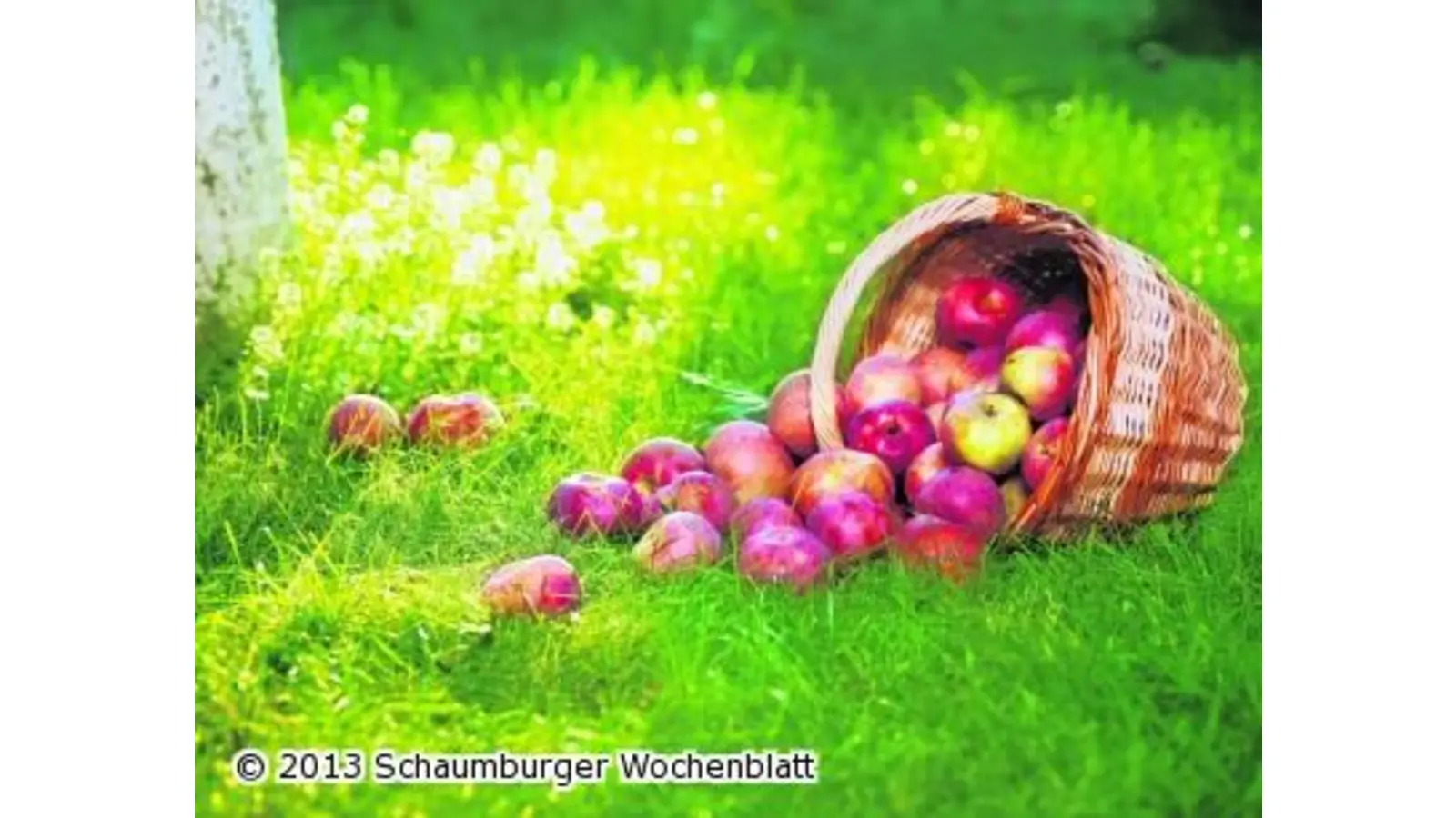 Leckere Äpfel und viele gute Gründe fürs Dabeisein (Foto: nb)