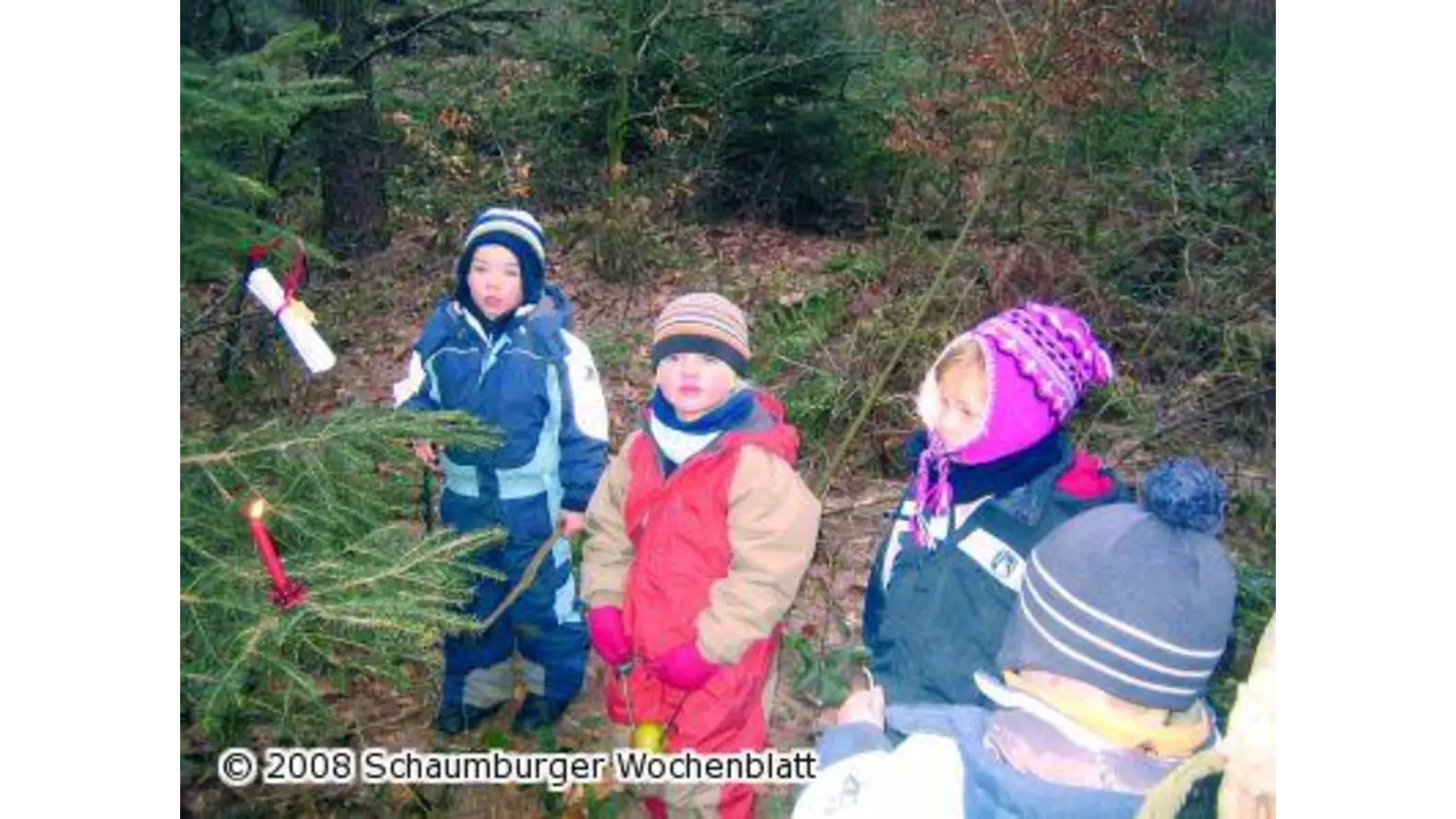 Einen Festbaum für die Tiere geschmückt (Foto: red)