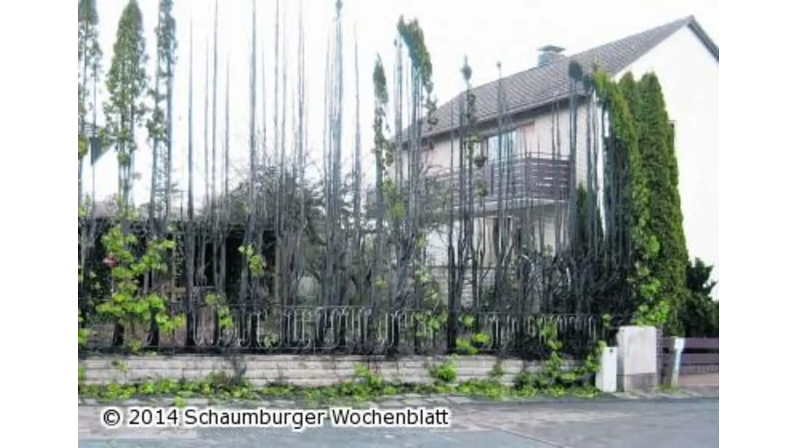 Eine Hecke brennt in Pohle (Foto: al)
