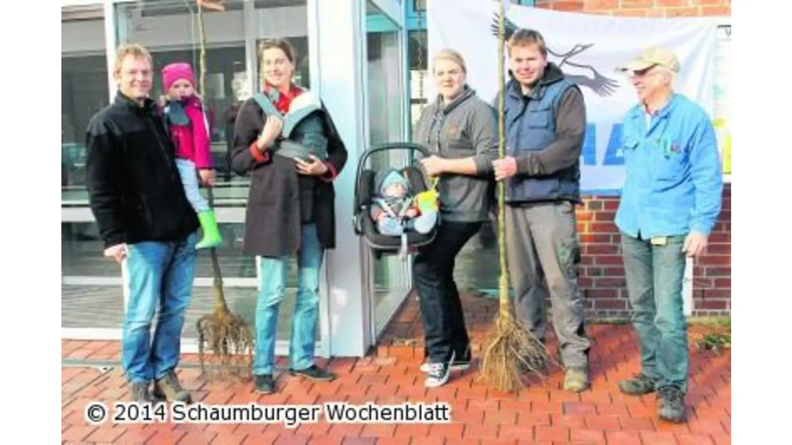 Birnbäume sind der Renner (Foto: us)