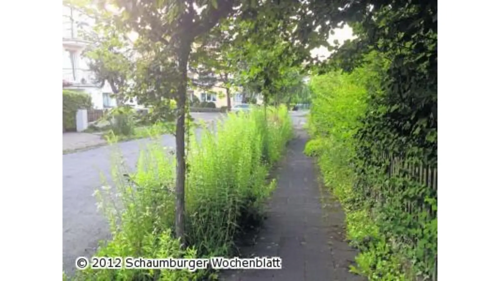 Es geht sicher auch schöner (Foto: mh)