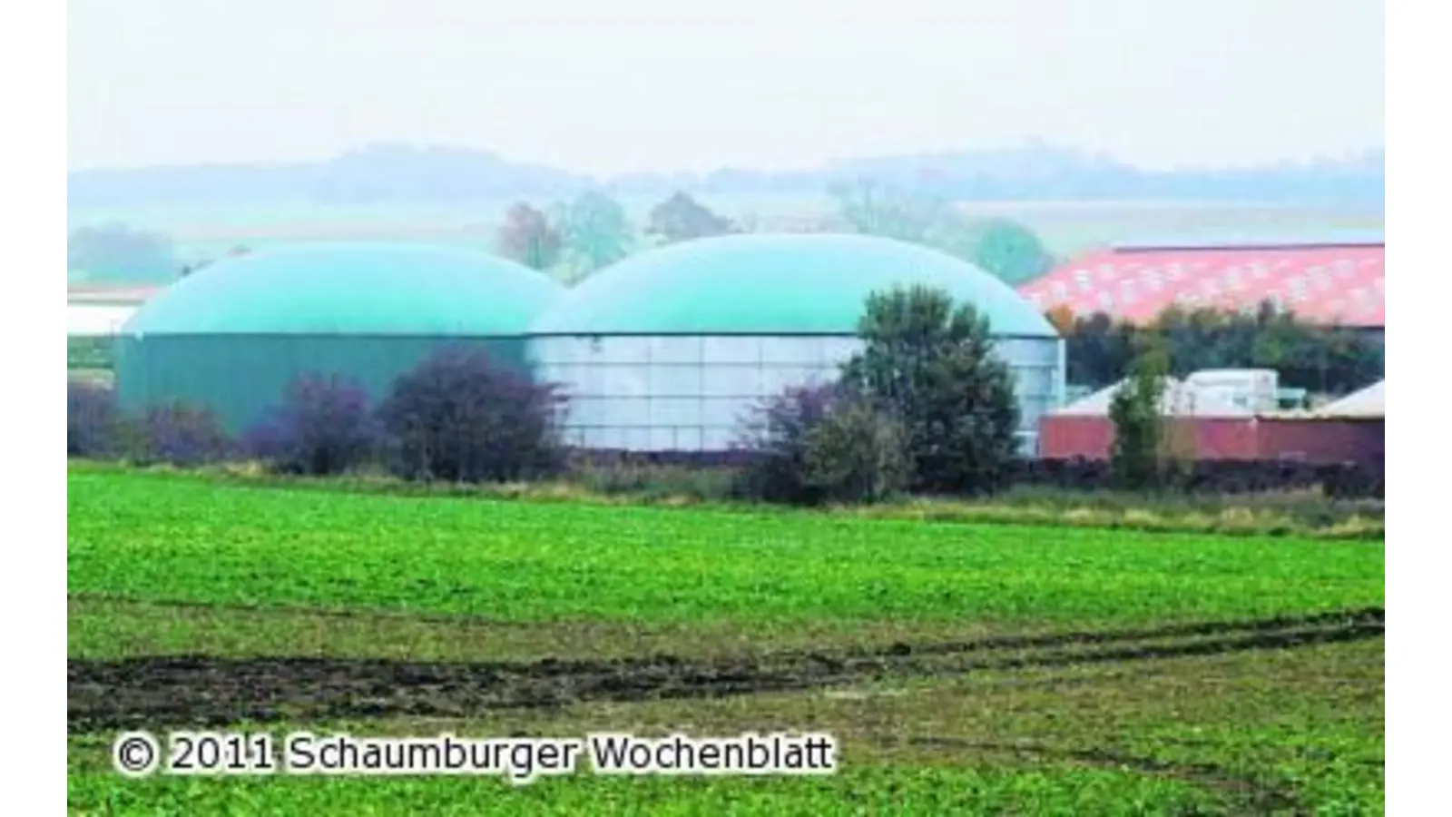 Biogasanlage liefert Wärme und Strom (Foto: tt)