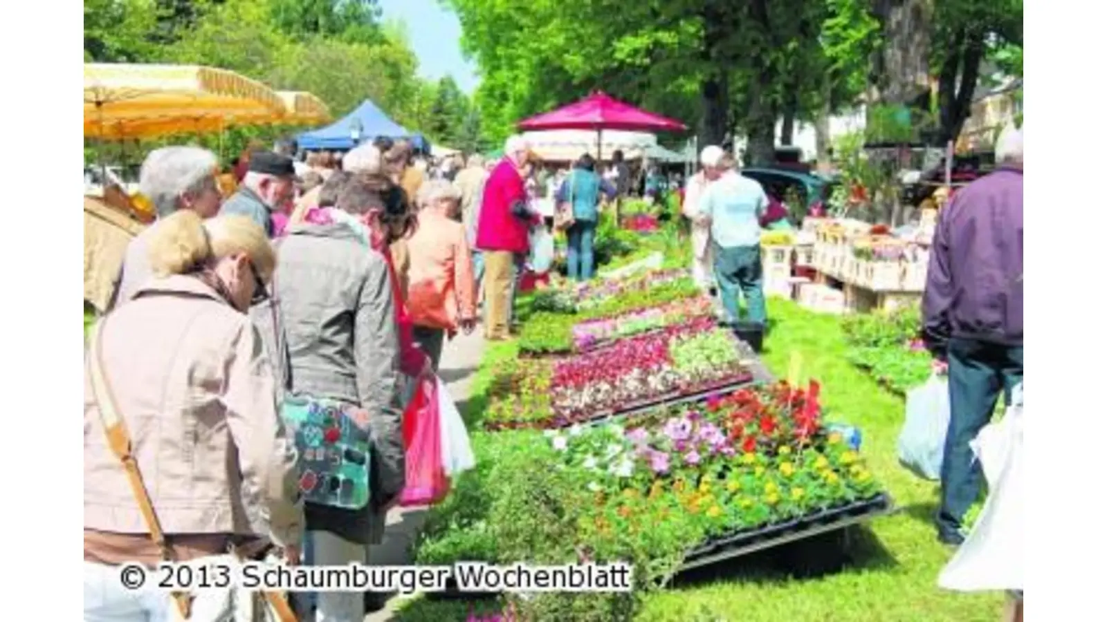 Marktbesuchern gefällt das vielfältige Angebot (Foto: red)