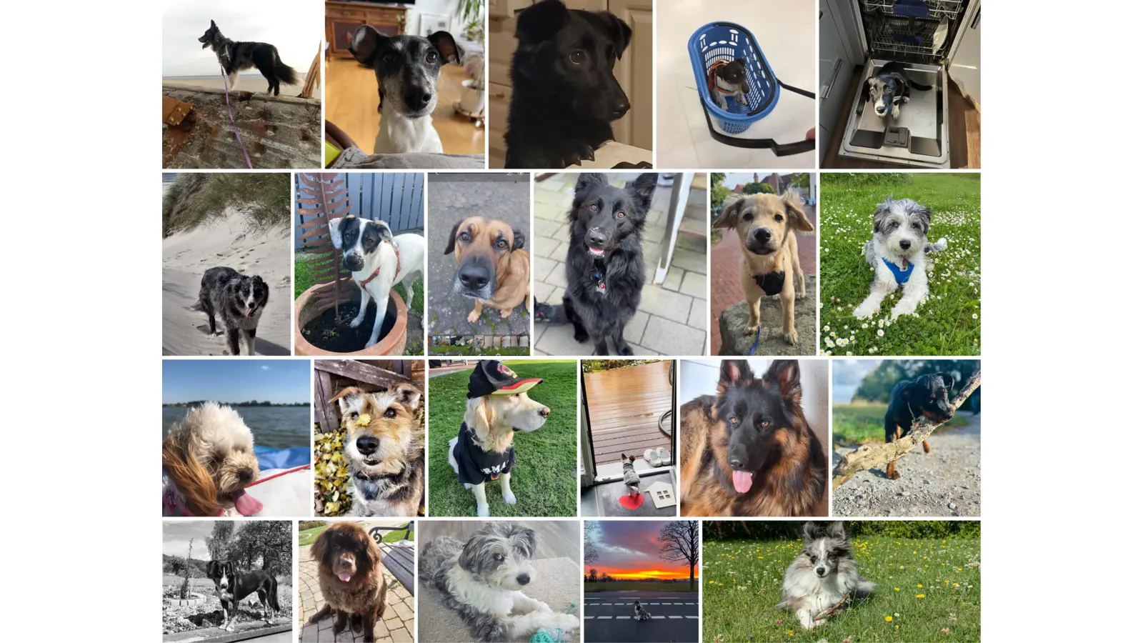 Stimmen Sie mit ab! Bis zum 9. Oktober lassen wir die Voting-Seite geöffnet. (Foto: privat)