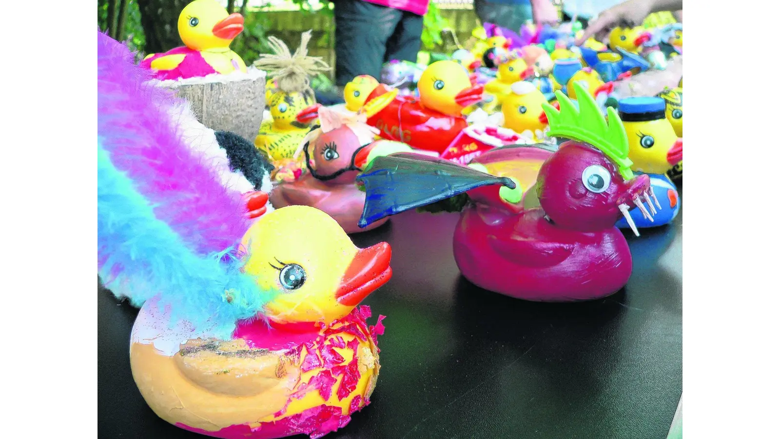 Bald schwimmen Enten auf dem Apelerner Riesbach (Foto: al)