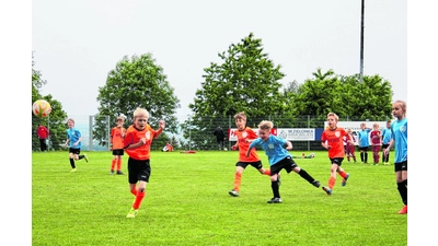 Liekweger Familienfest als Vatertagsmagnet (Foto: pp)