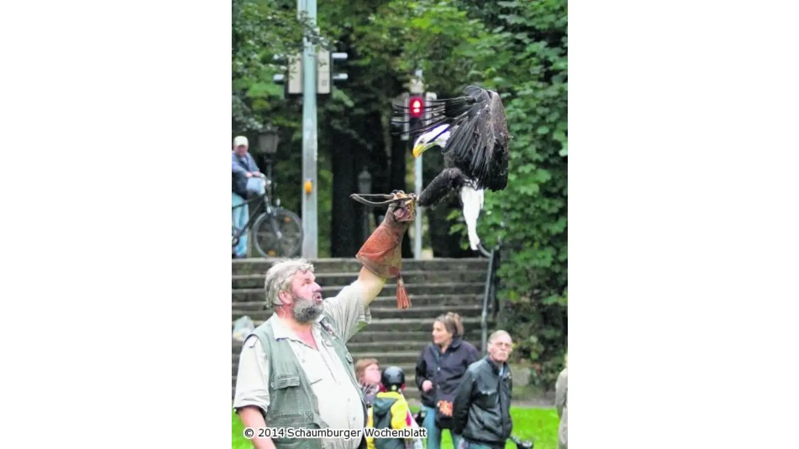 Flug-Artisten im Schlosspark (Foto: bb)