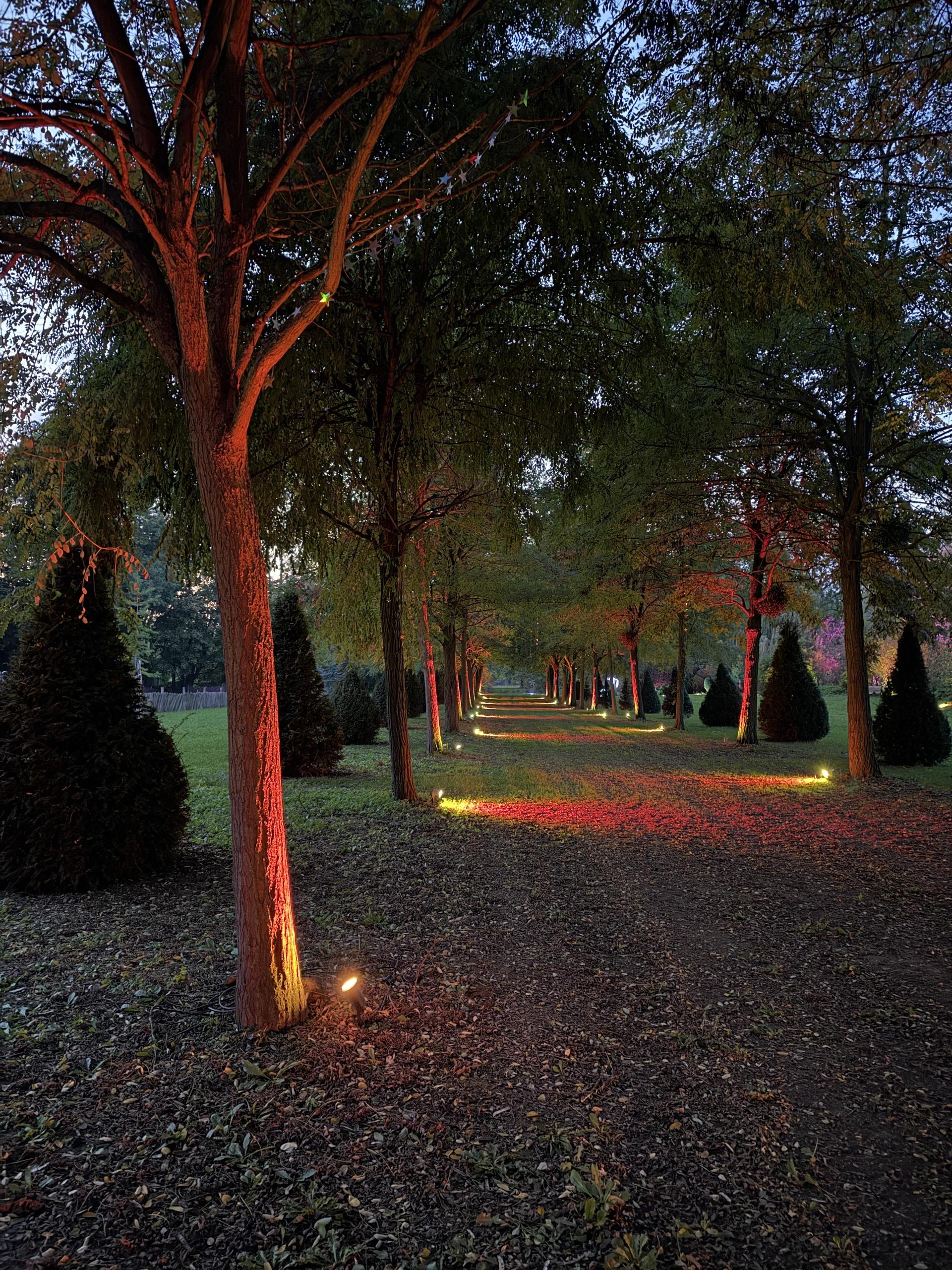 MärchenLichter (Foto: nd)