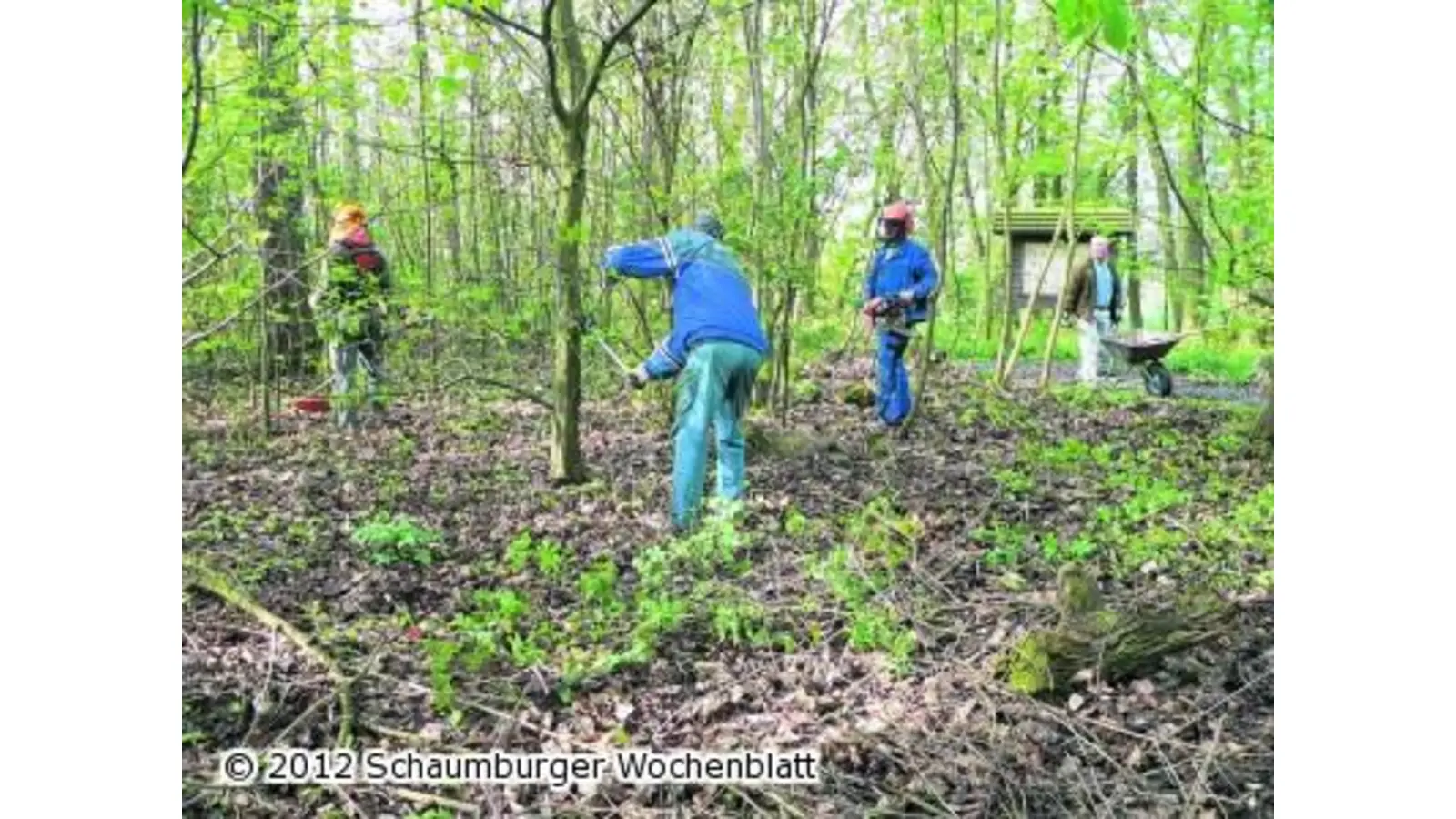 Viel Krach machen im stillen Bürgerpark (Foto: al)