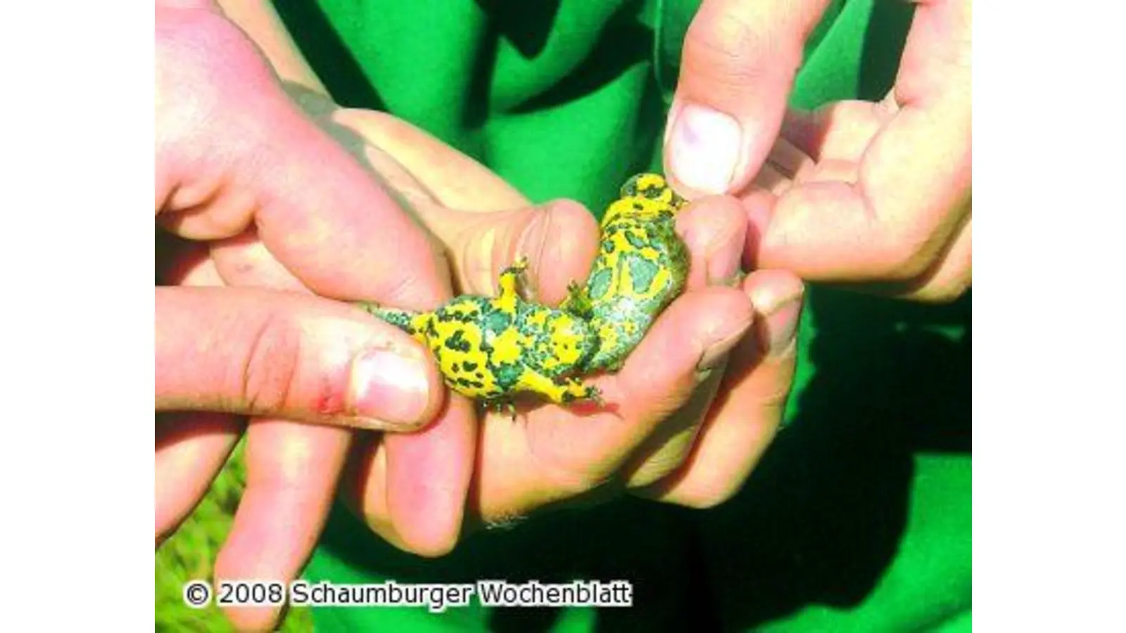 NABU-Wanderung für die ganze Familie (Foto: tt)