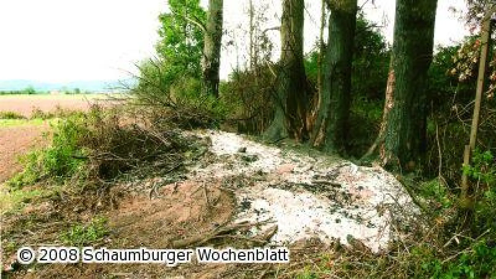 Erneuter Heckenschaden im Naturschutzgebiet (Foto: ste)