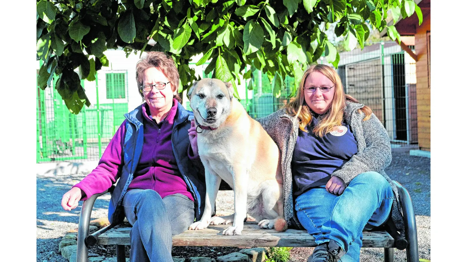 Ex-Hundehalterin droht Gassigängerin (Foto: jl)
