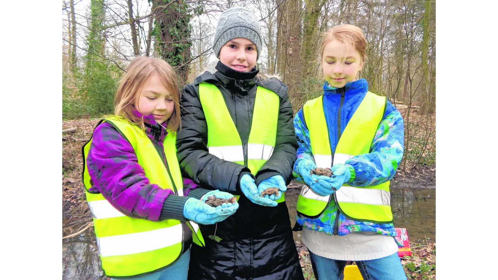 Junge Naturforscher gesucht (Foto: red)