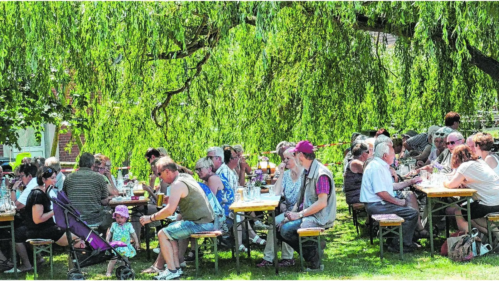Schattige Plätze sind gefragt (Foto: red)