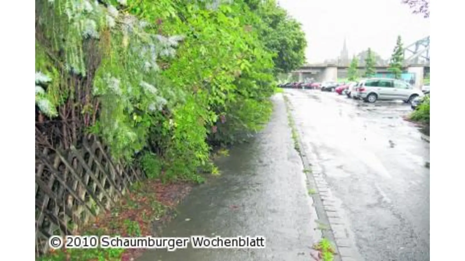 Kleinvieh macht bekanntlich auch Mist (Foto: ste)