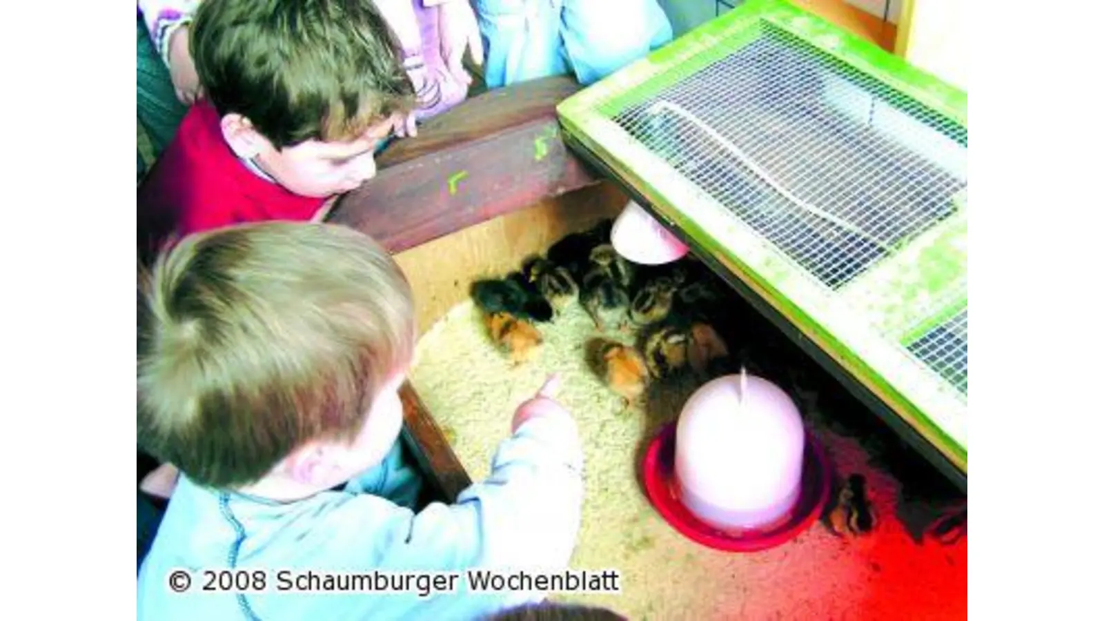 Von zarten Händen sanft umschlossen (Foto: pd)