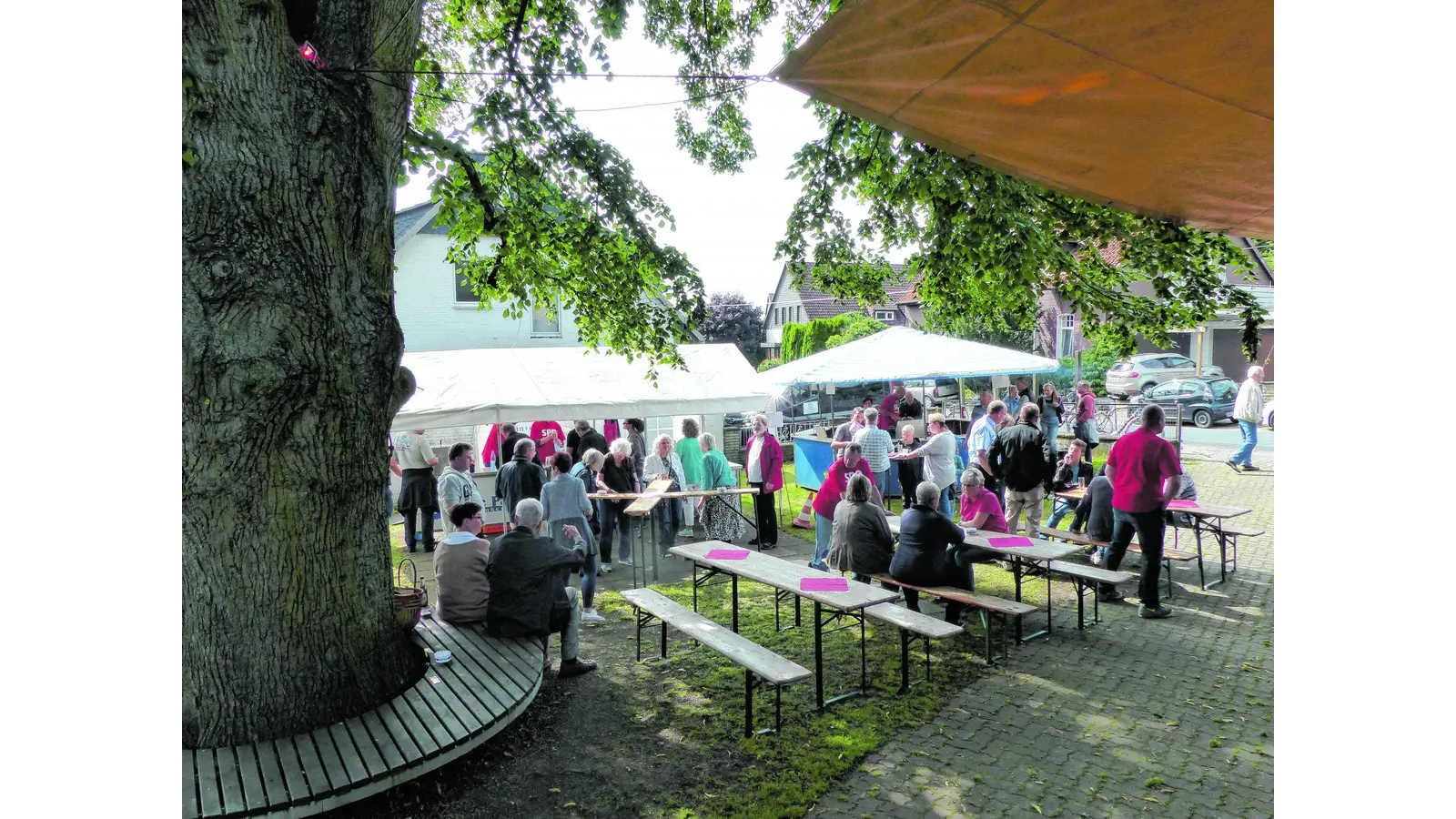Unter der mächtigen Linde mit fetzigem Jazz (Foto: al)