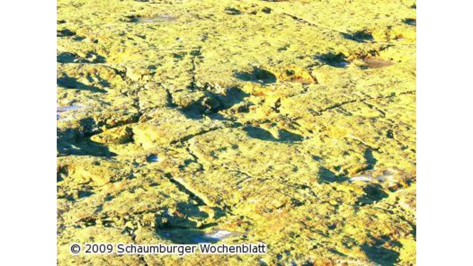 Mit dem Nabu zurück in die Urzeit (Foto: tt)