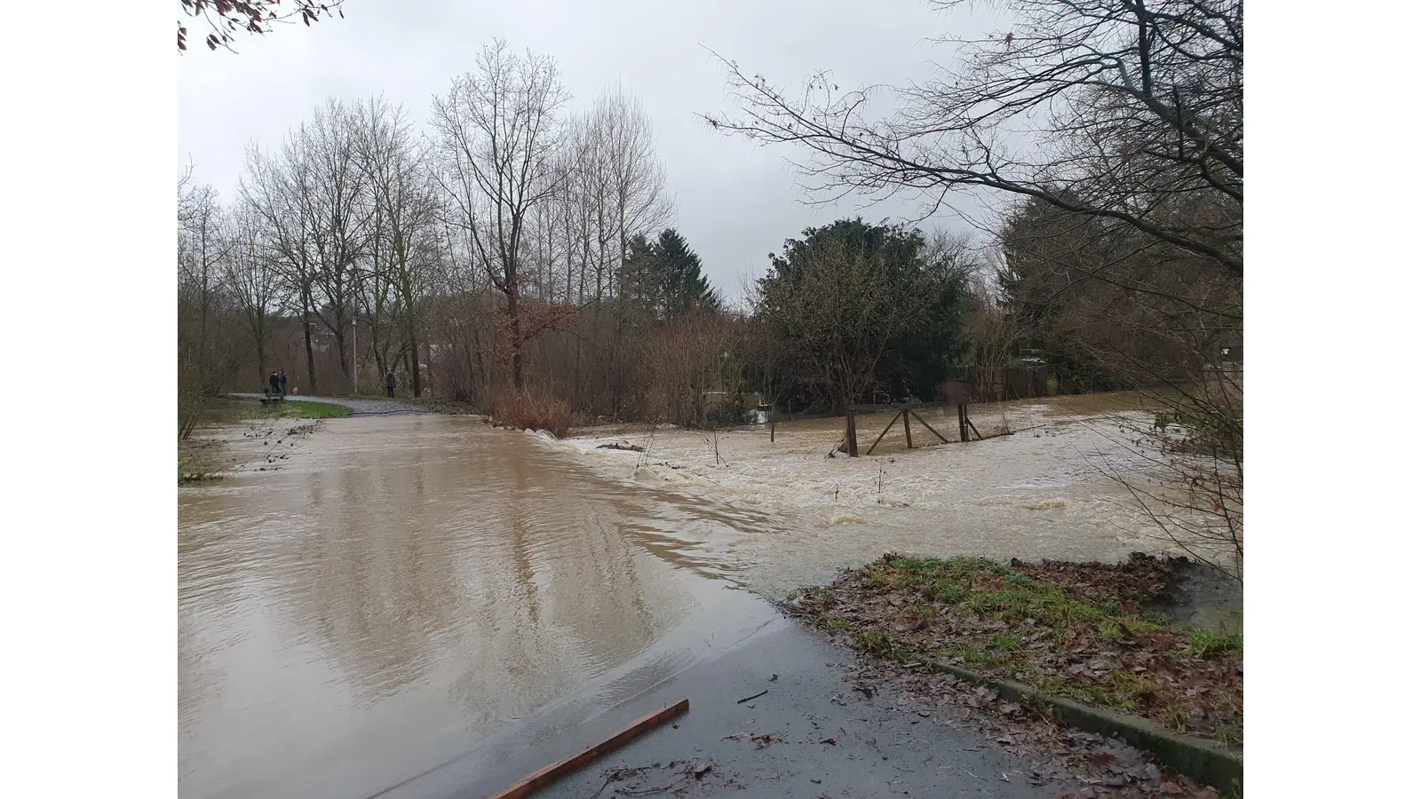 An der dafür vorgesehenen Flutmulde tritt das Wasser der Aue über. (Foto: privat)