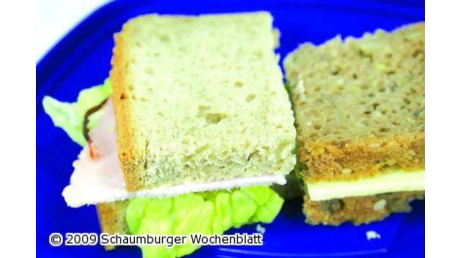 Gesundheitstage (Foto: red)