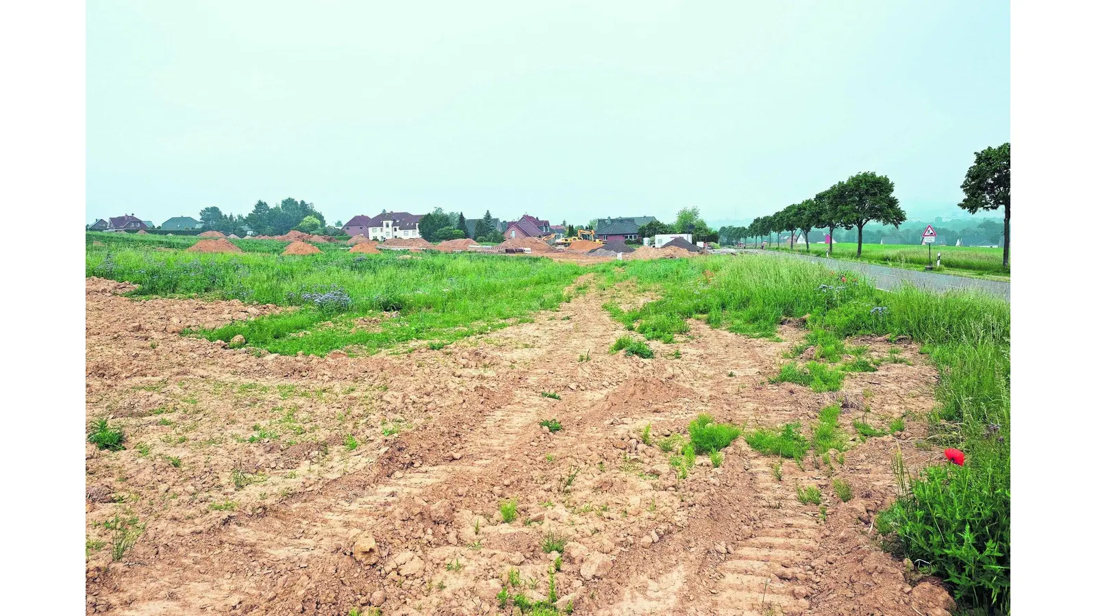 Wohnen im bundesweit einmaligen Hopfenring (Foto: red)