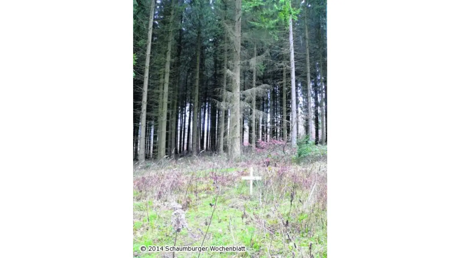 Noch steht nur ein Kreuz im Wald (Foto: al)