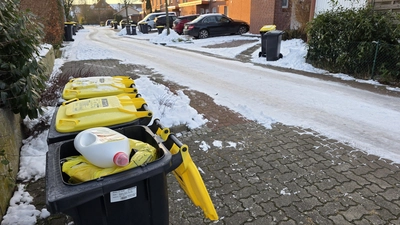 Volle Tonnen: Der Entsorger Remondis hat in einigen Straßen auf die Leerung verzichtet.  (Foto: tau)