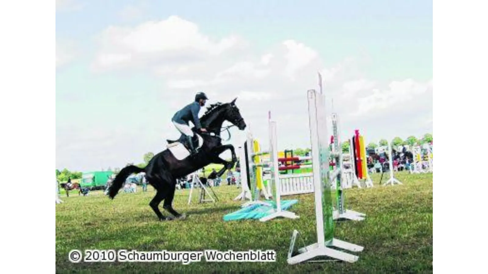 Großes Turnier mit über 500 Tieren (Foto: red)