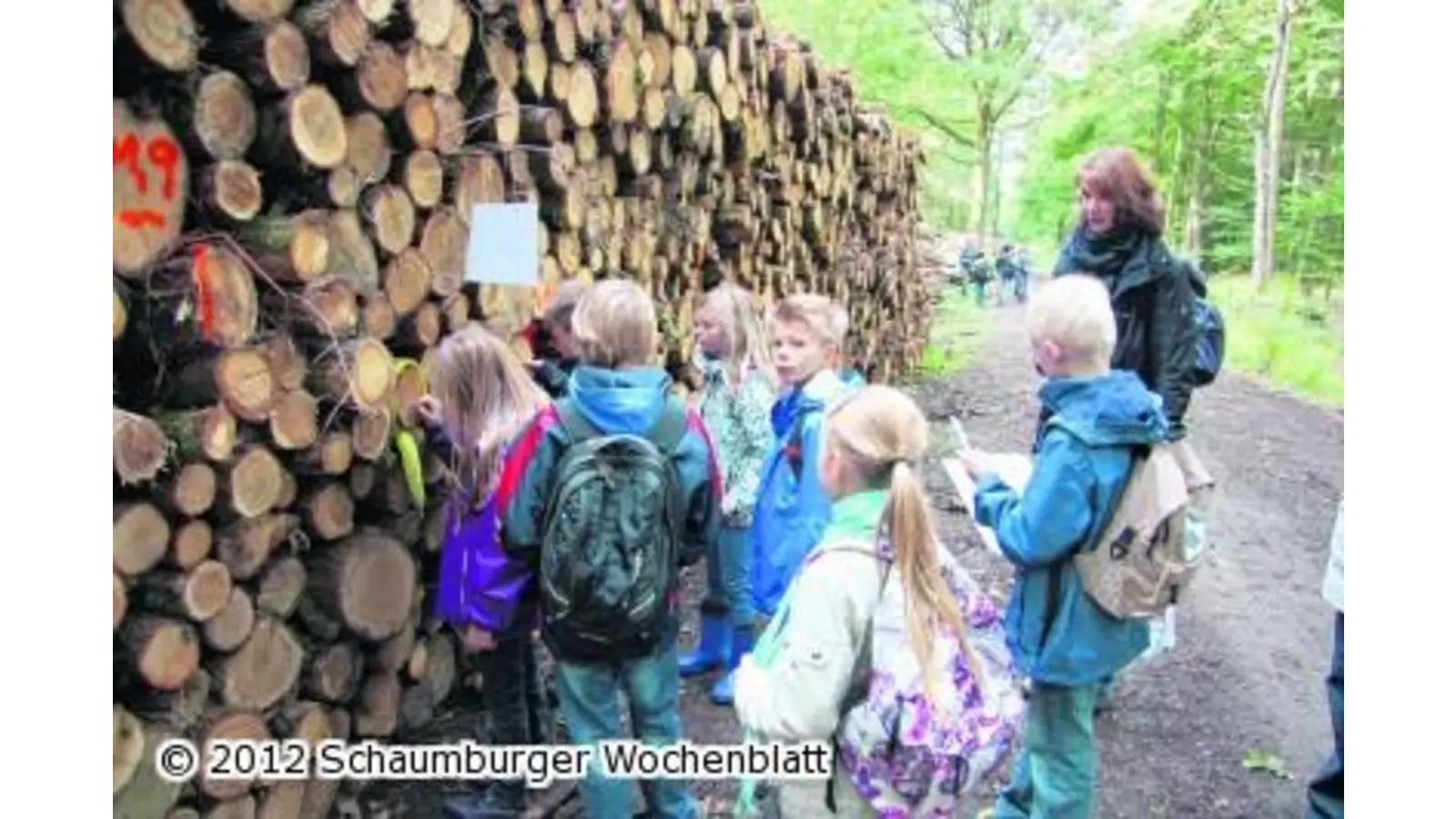 Erlebnisreicher Spieletag im Wald (Foto: gi)