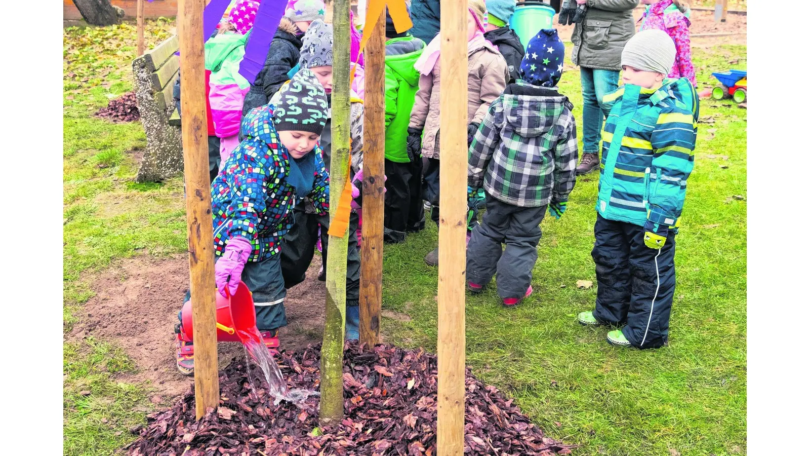 Wo das Bastelmaterial am Baum wächst (Foto: jl)