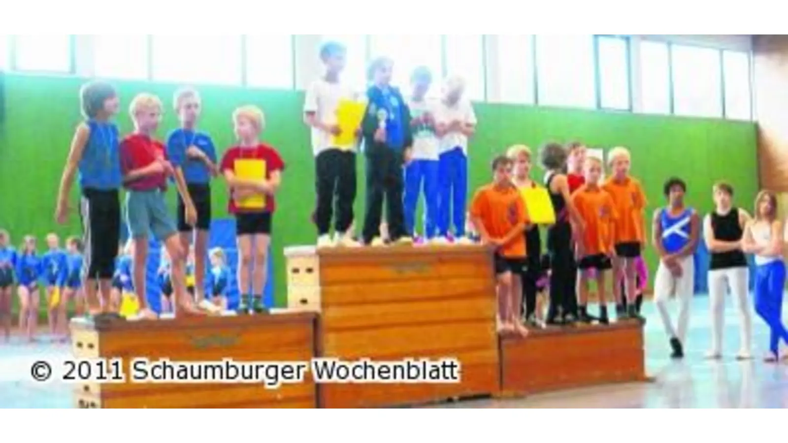 Turner ermitteln Kreismeister (Foto: red)