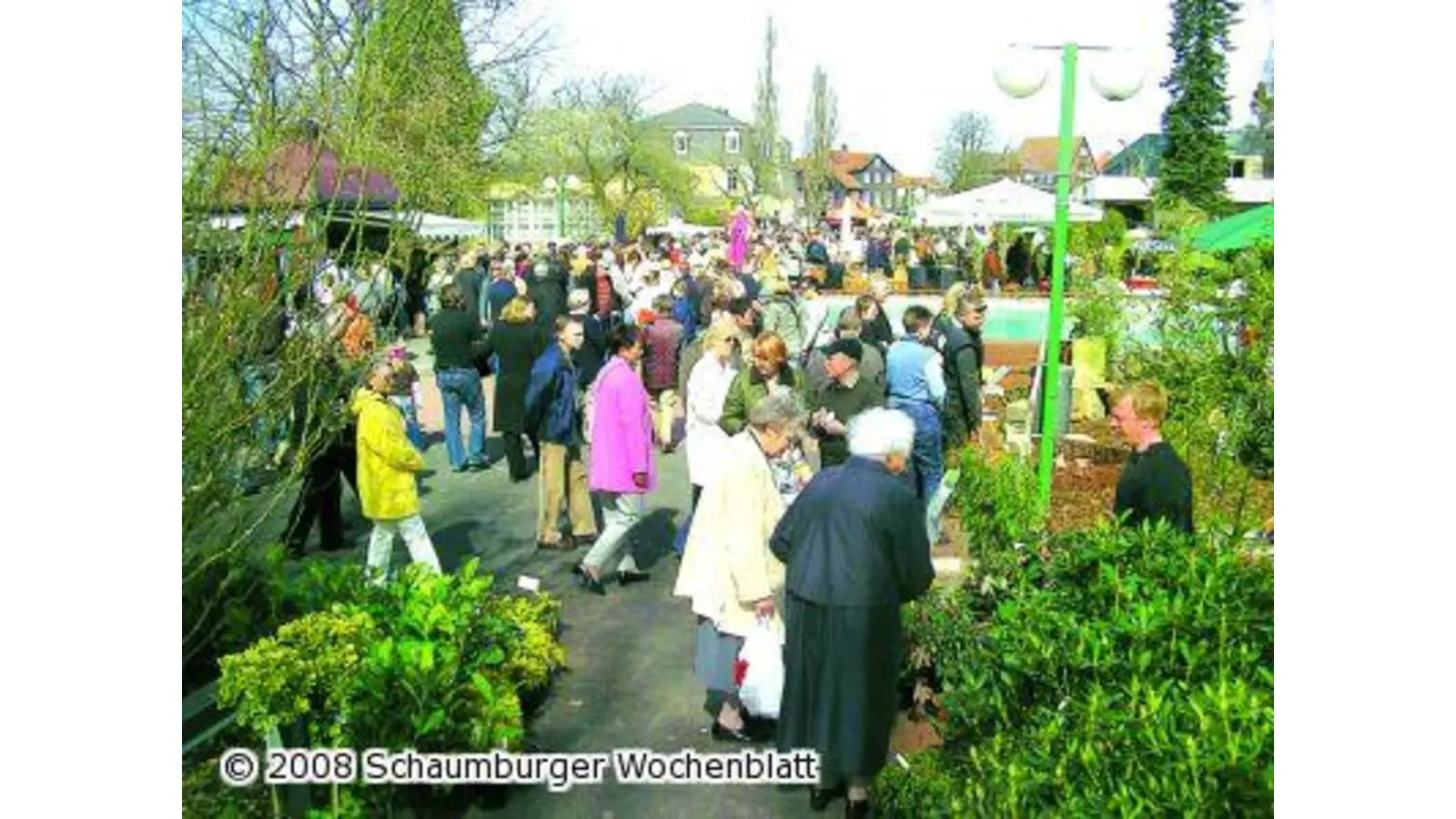 Mit dem Frühling kommt wieder Bewegung in die grüne Lunge (Foto: red)